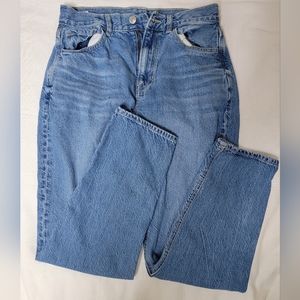 American Eagle Size 2 Medium Blue Mom Jeans Regular Fit